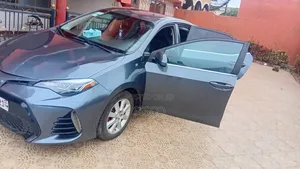 Toyota Corolla 2019 Blue