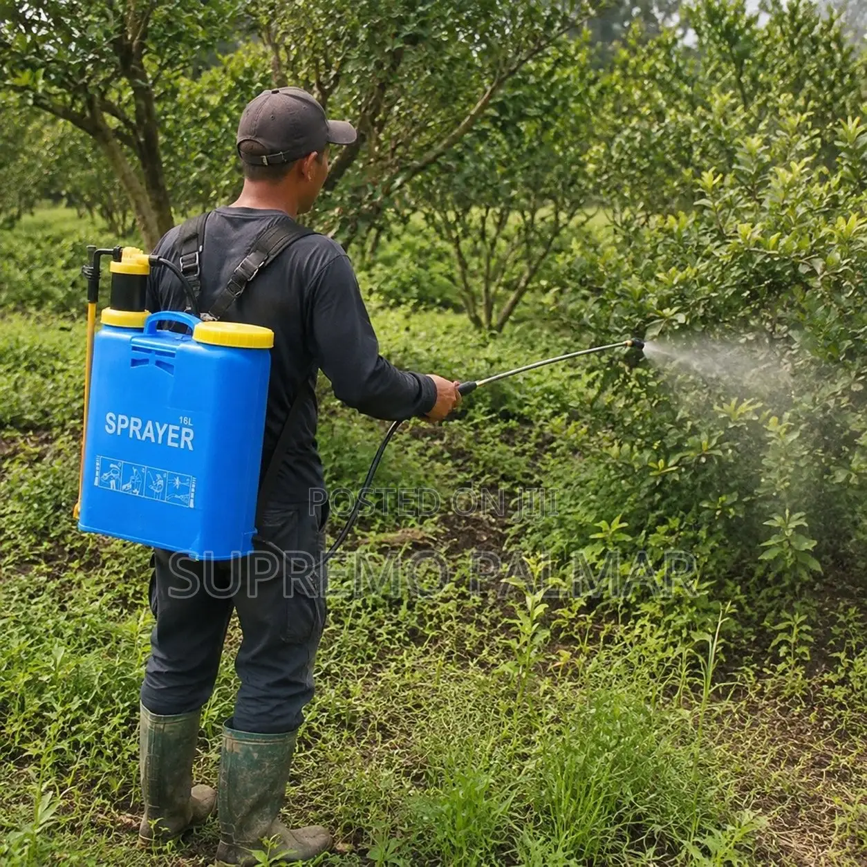 16-Liter Knapsack Pressure Sprayer – Agricultural Spray Pump
