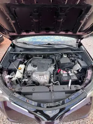 Toyota RAV4 LE AWD (2.5L 4cyl 6A) 2016 Maroon