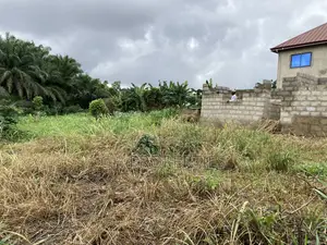 Half Plot for Sale at Sokoban Ampaame Hills .