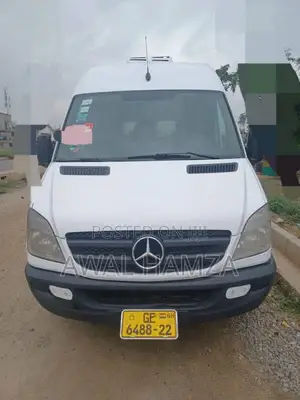 Mercedes-Benz Sprinter 2013 White