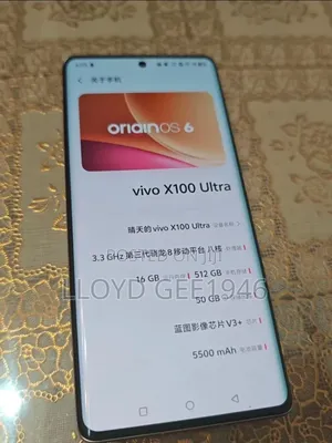 Vivo X100 Ultra 512 GB Gray
