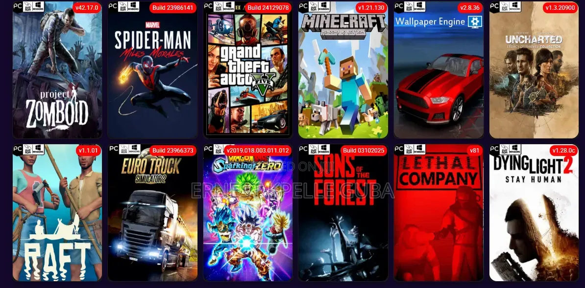 PC Games, Applications Movies – Fast Installation Service