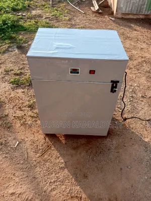 Eggs Incubator