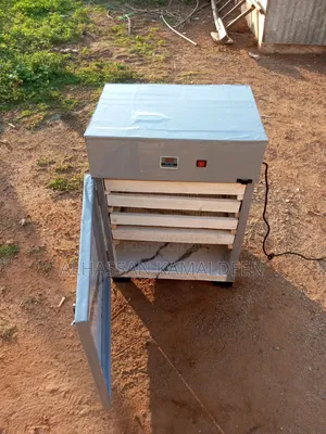 Eggs Incubator