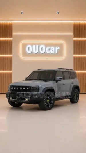 Jetour T2 2.0 Petrol AWD 2023 Gray
