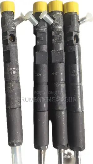 Kia Carnival Diesel Injectors
