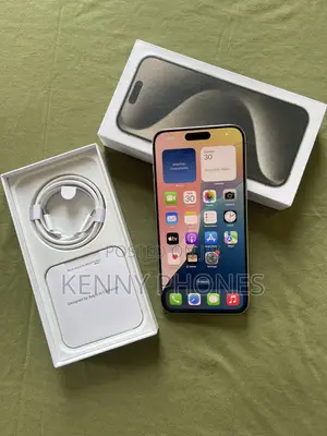 Apple iPhone 15 Pro Max 256 GB Silver