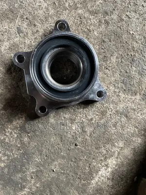 Toyota Land Cruiser Back Bearing
