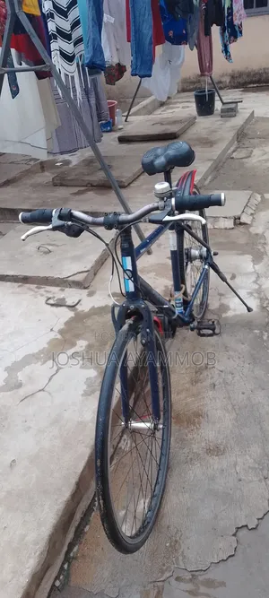 Bicycle and Tricycle