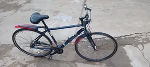 Bicycle and Tricycle