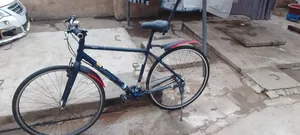 Bicycle and Tricycle