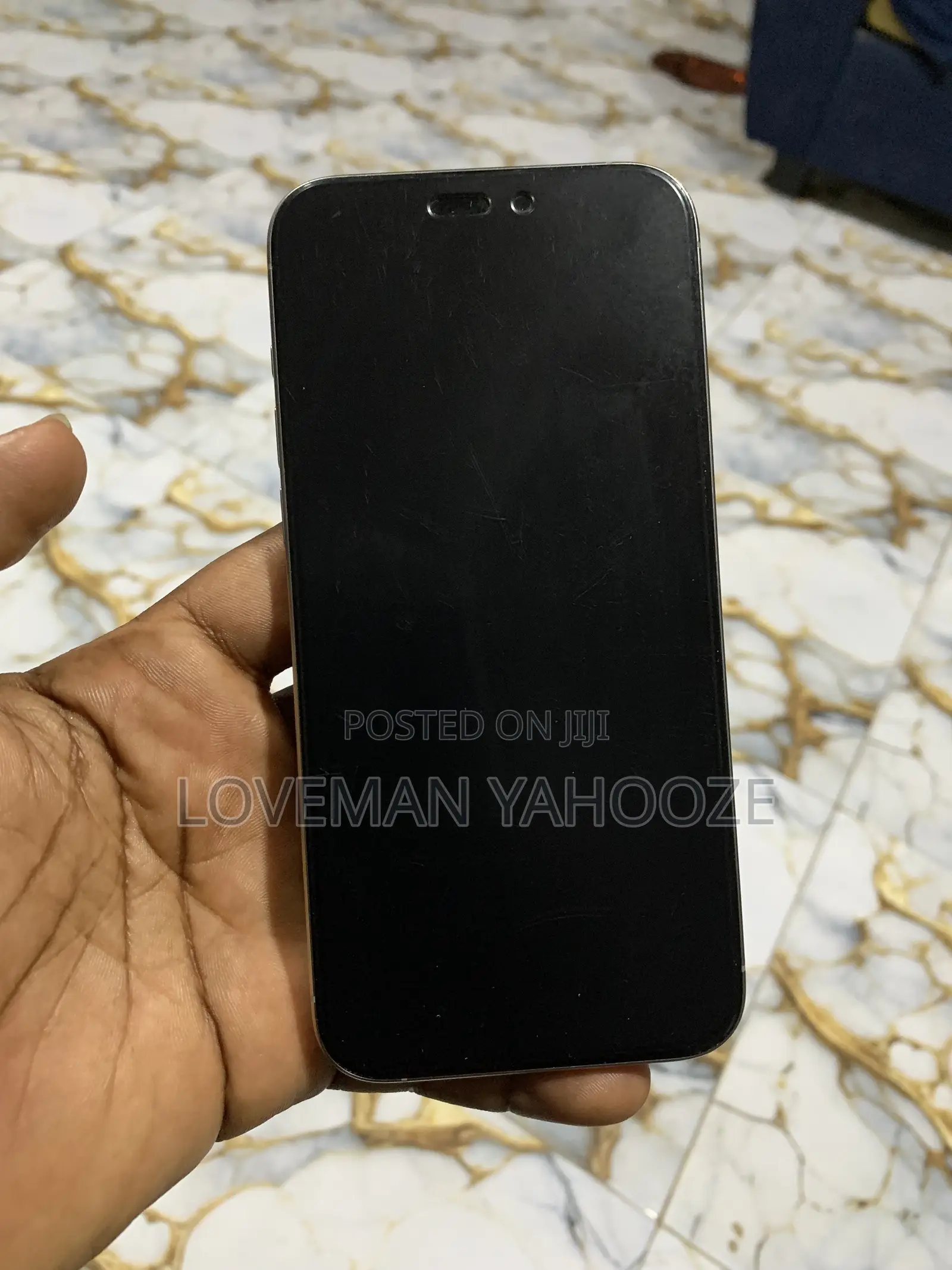 Apple iPhone 15 Pro Max 256 GB Gray