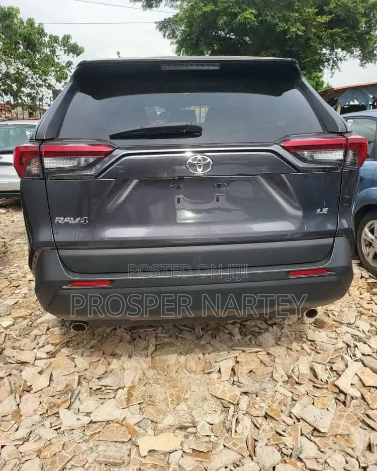 Toyota RAV4 2021 Brown