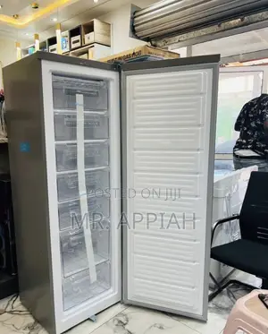 Latest and Affordable Nasco Nasd1-33 Upright Standing Freezer(260L)