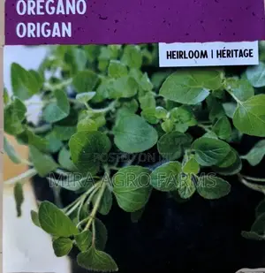 Fruits, Herbs and Spices Seedlings
