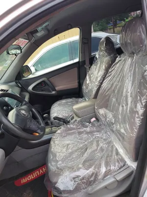 Toyota RAV4 2010 Silver