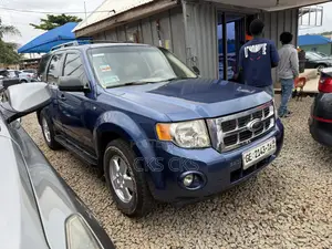 Ford Escape 2010 Blue