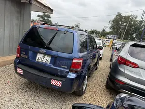 Ford Escape 2010 Blue