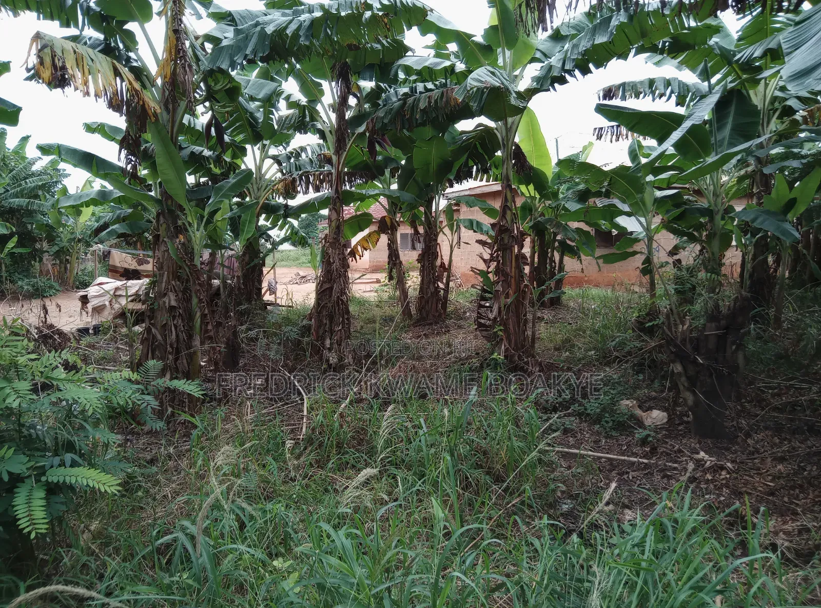 Plot of Land for Sale at Abuakwa Akropng Esaase