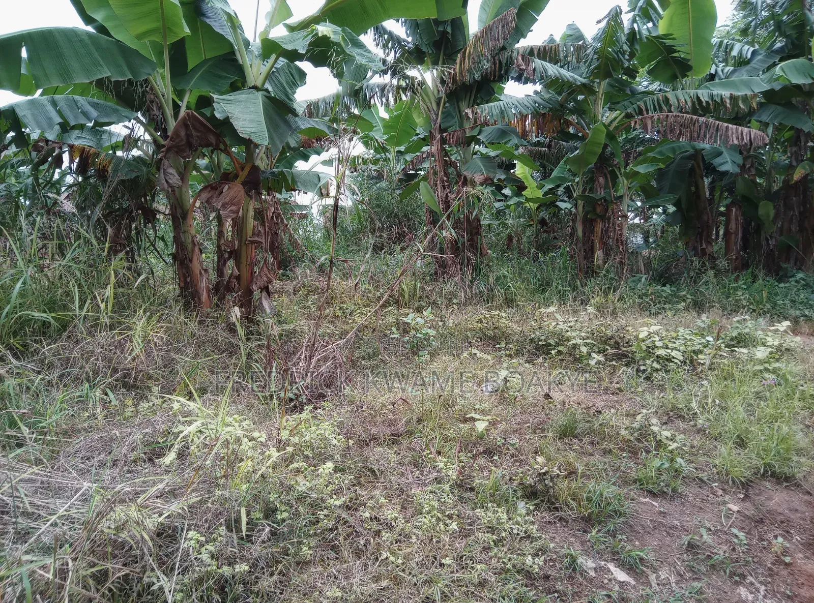 Plot of Land for Sale at Abuakwa Akropng Esaase