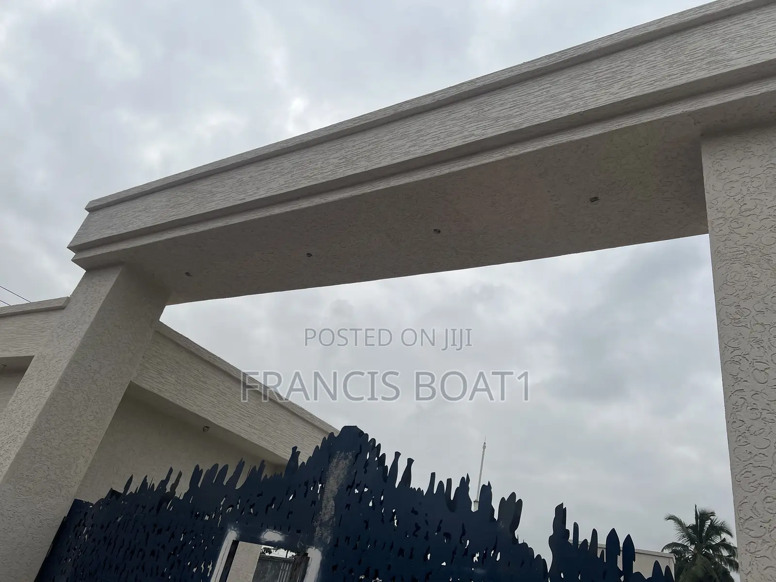 Best White Grafiato at Affordable Price