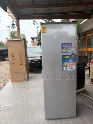 Accurate Best Nasco NASD1-33 242-Liter Upright Standing Freezer