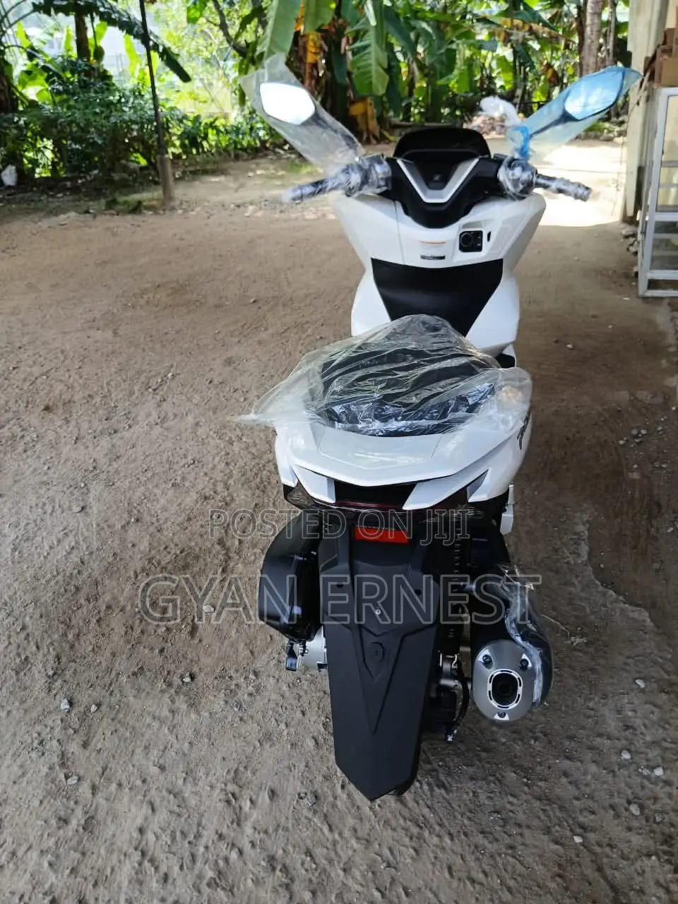 Royal RY125 2026 White