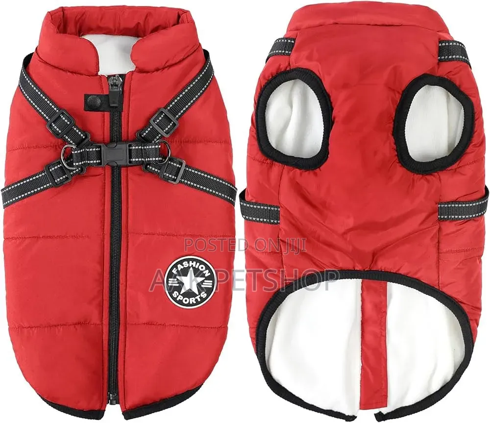 Carrier Style Bag for Dogs