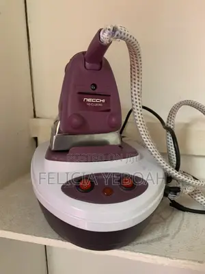 Steam Iron