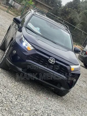 Toyota RAV4 2024 Blue