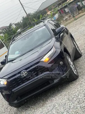 Toyota RAV4 2024 Blue
