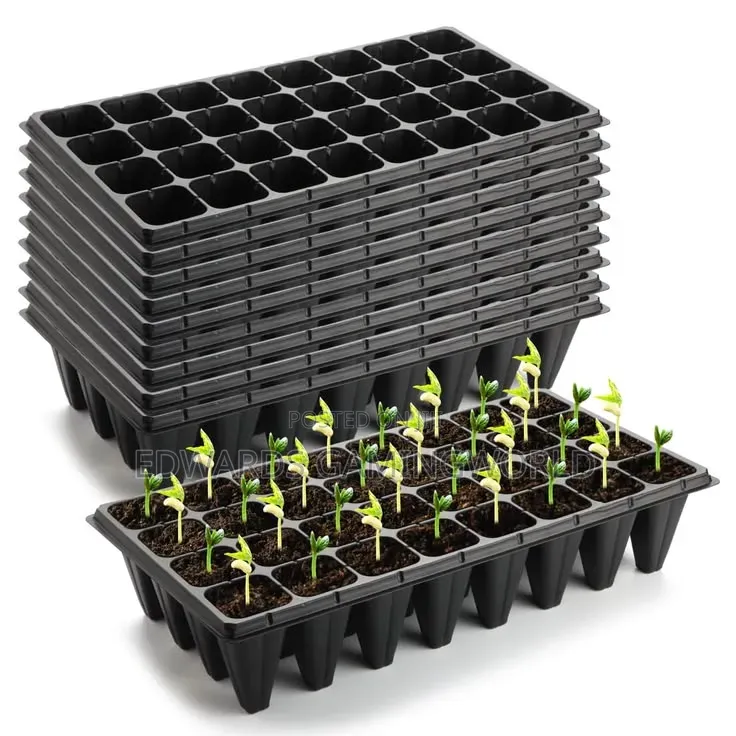 Seedling Tray
