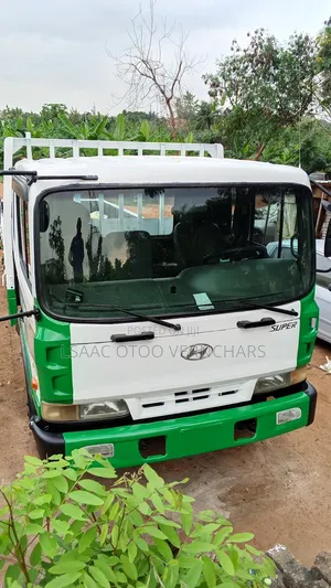 Hyundai Truck