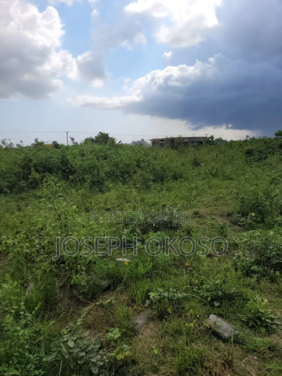 One Full Plot of Land for Sale