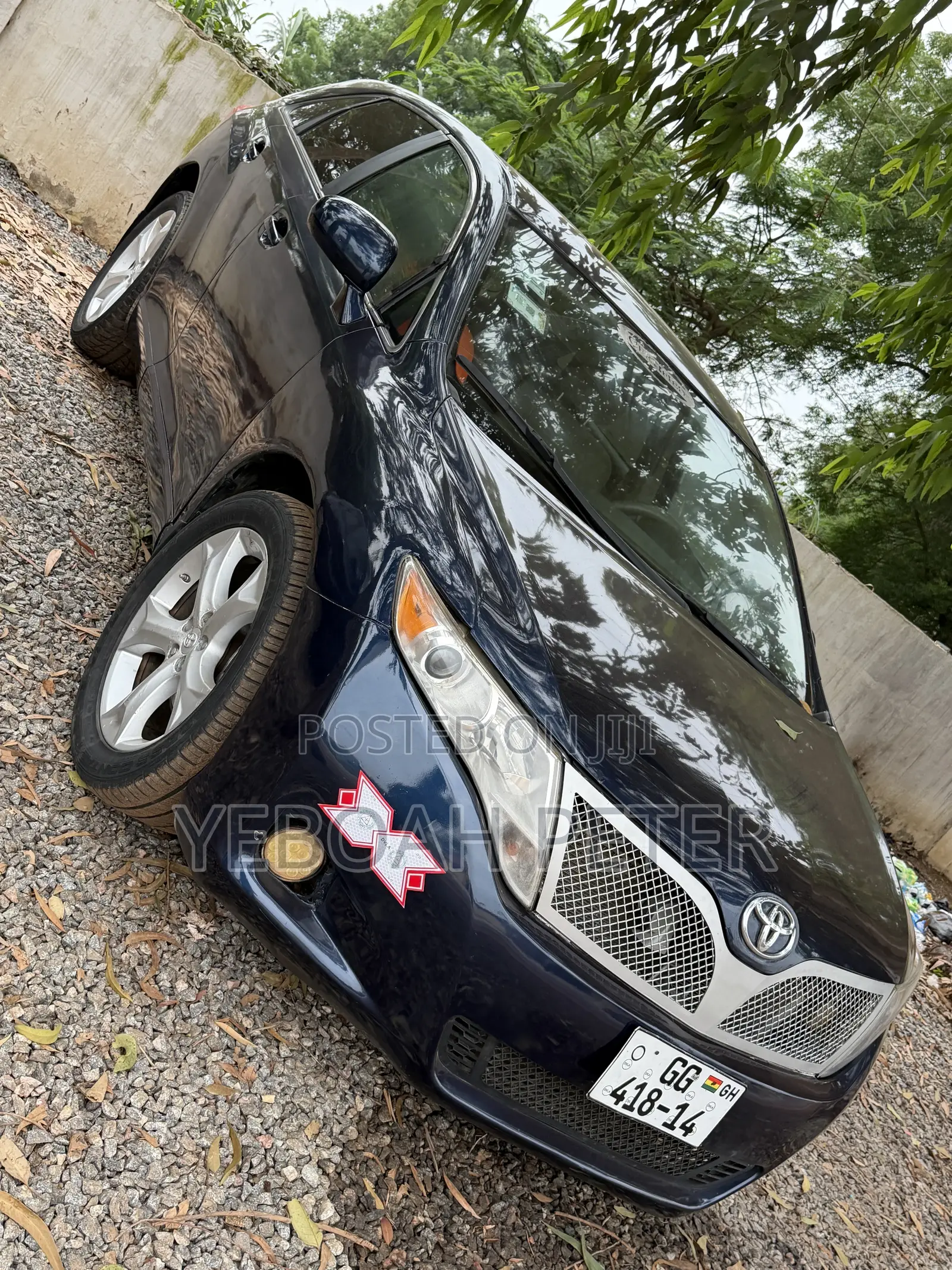 Toyota Venza 2010 Blue