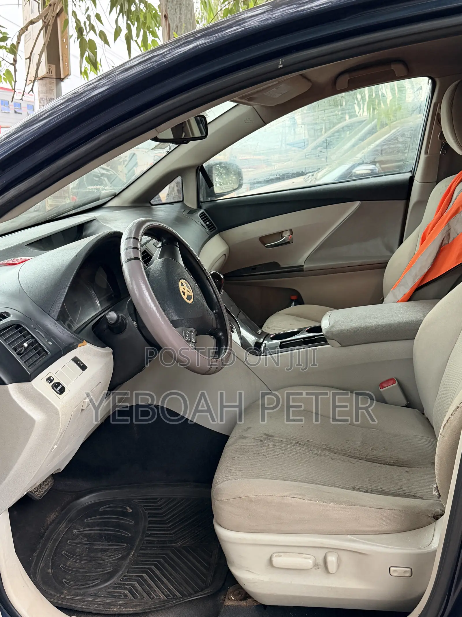 Toyota Venza 2010 Blue