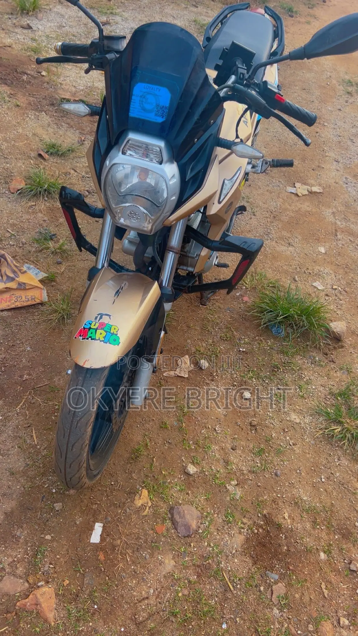 Apsonic 170 Zone One 2023 Gold