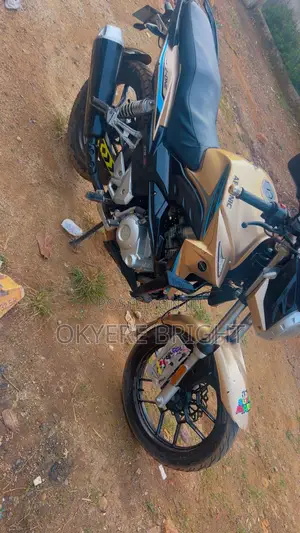Apsonic 170 Zone One 2023 Gold