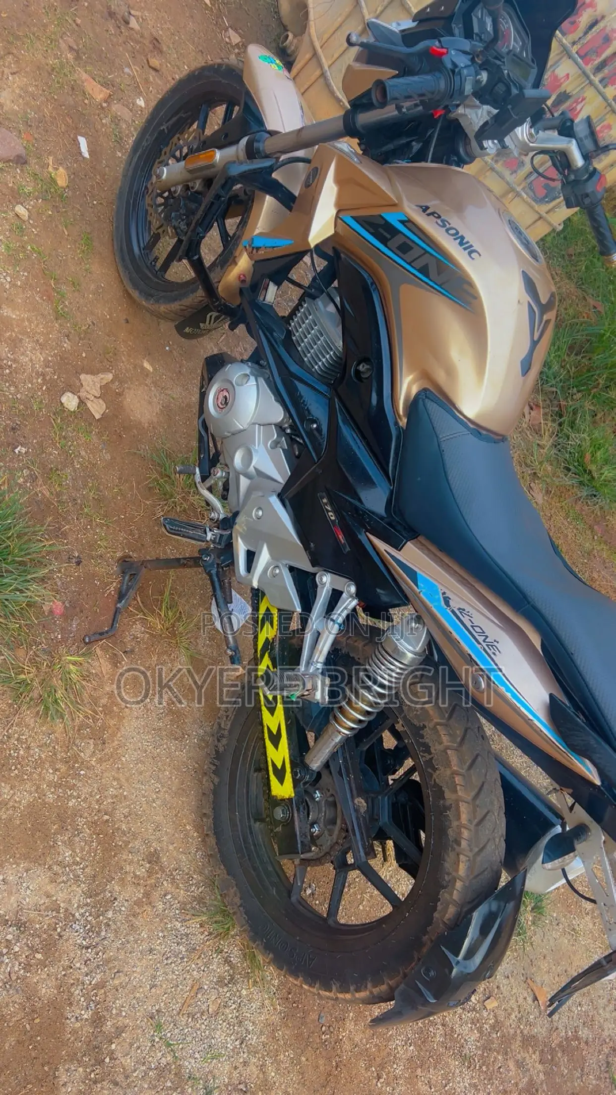 Apsonic 170 Zone One 2023 Gold