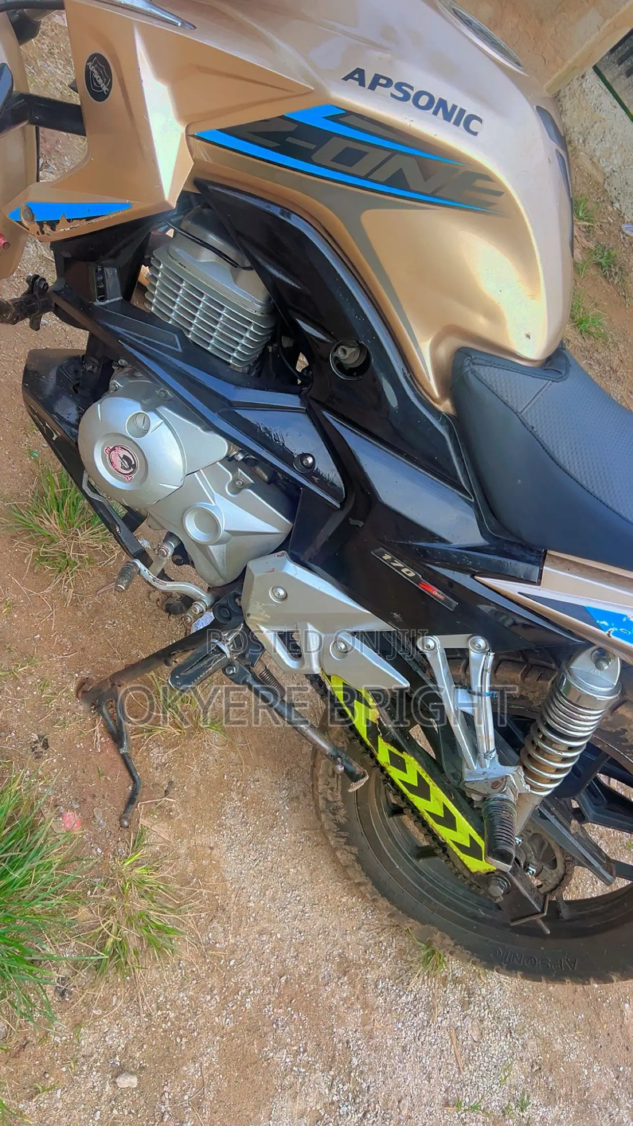 Apsonic 170 Zone One 2023 Gold