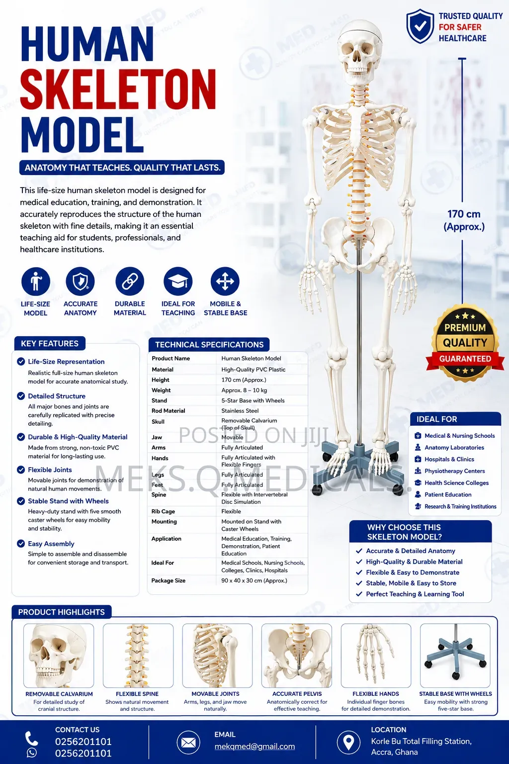 Human Skeleton Model