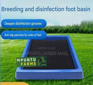 Plastic Footbath