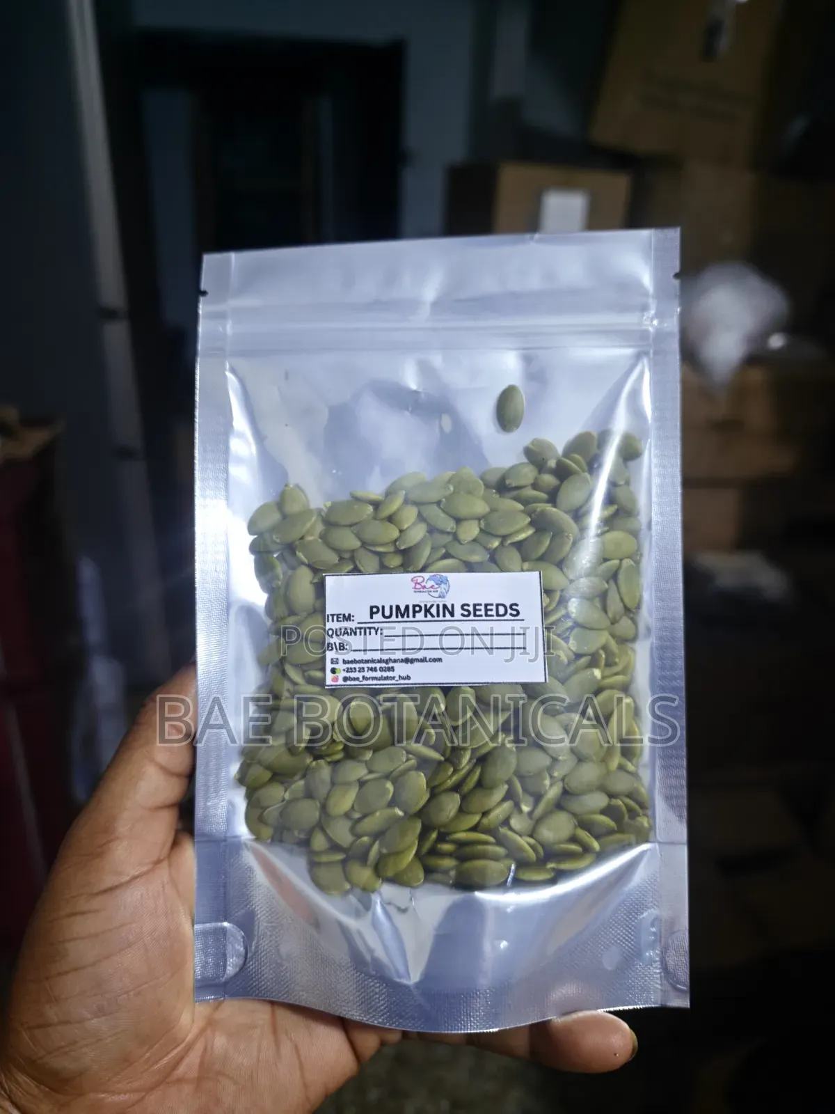 Pumpkin Seeds