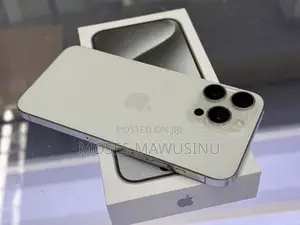 Apple iPhone 15 Pro Max 256 GB Silver