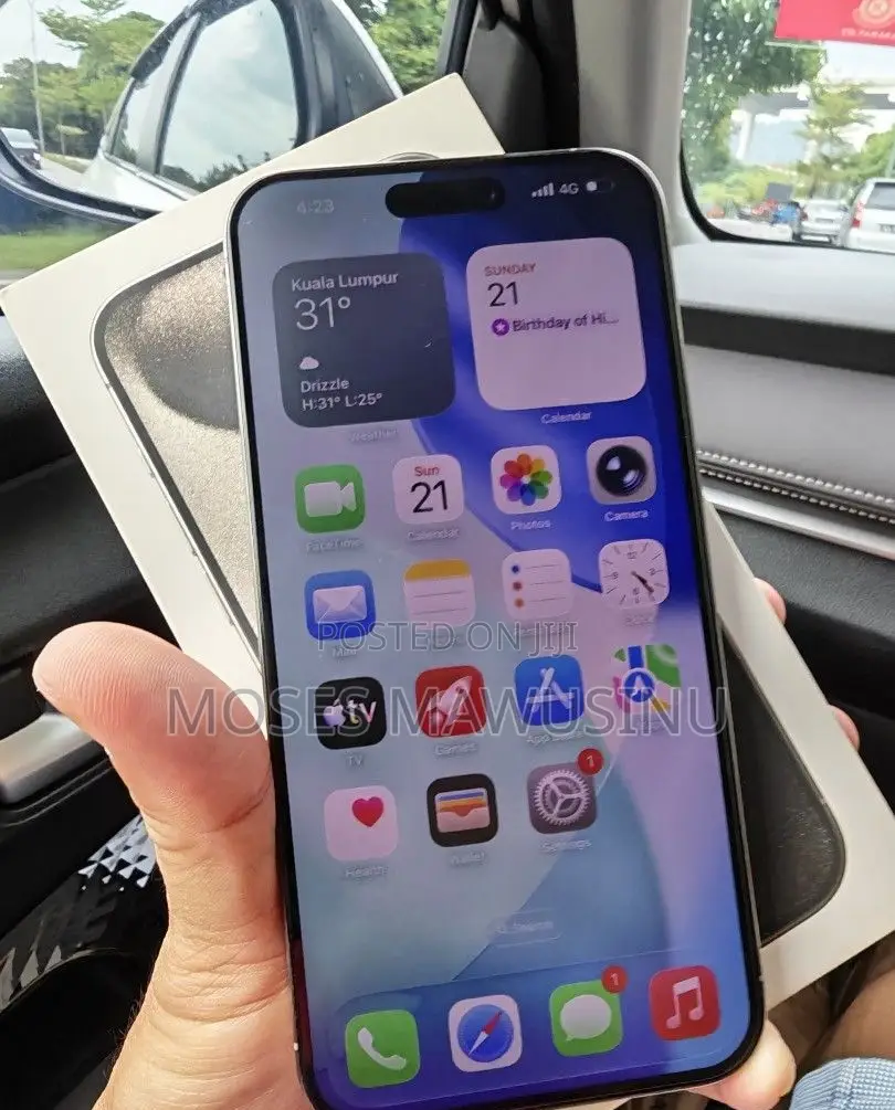 Apple iPhone 15 Pro Max 256 GB Gray
