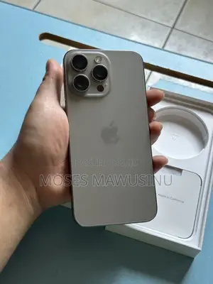 Apple iPhone 15 Pro Max 256 GB Gray