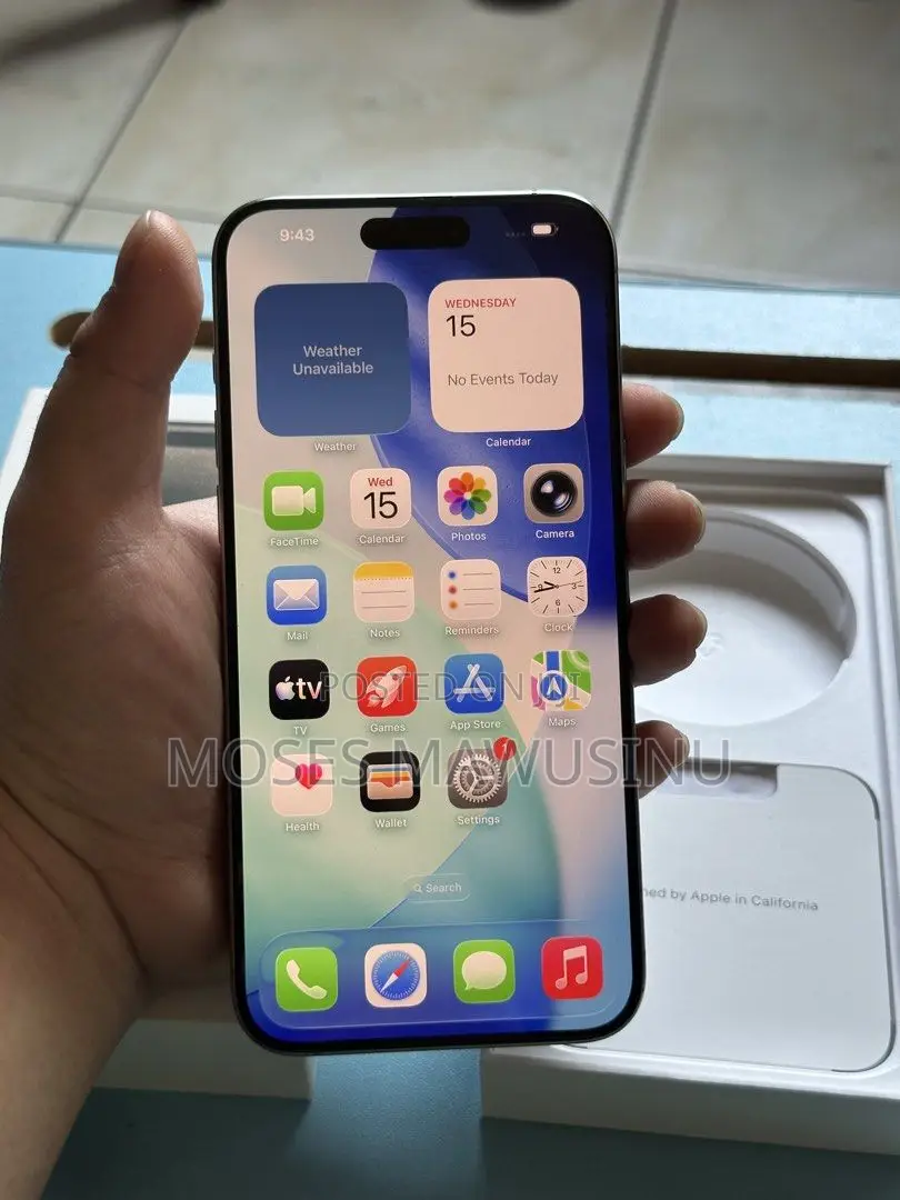 Apple iPhone 15 Pro Max 256 GB Gray