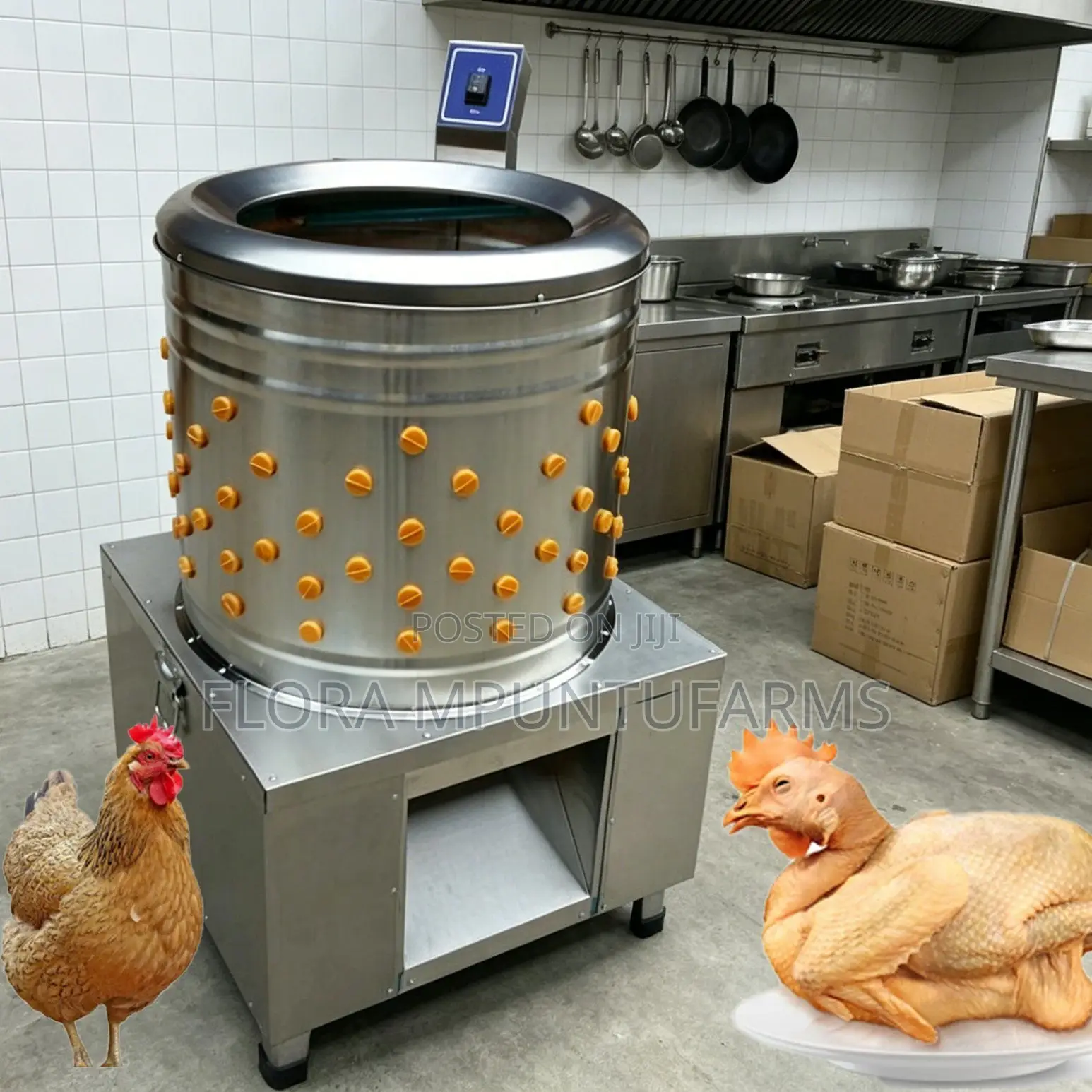 Automatic Plucking Machine