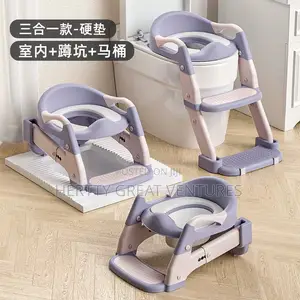 3 in 1 Potty Training